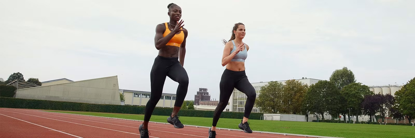 Montirex 15 Montirex -Montirex 3